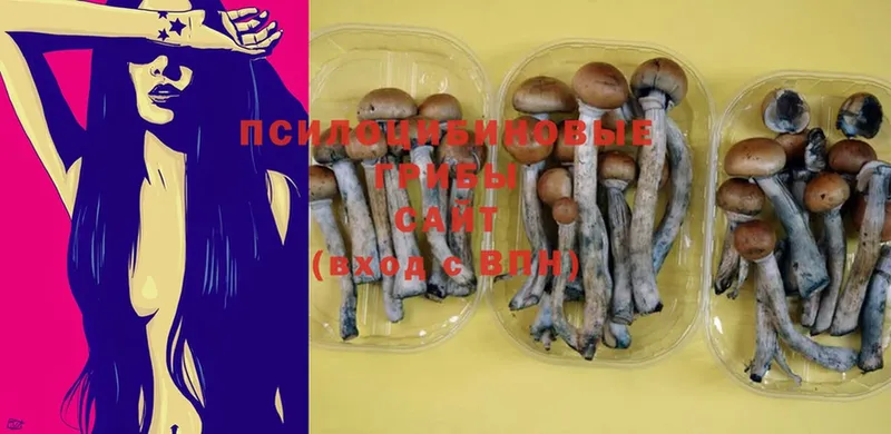 Галлюциногенные грибы Magic Shrooms  Завитинск 